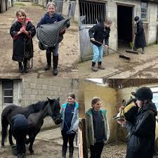 Image result for South Weylands Equestrian