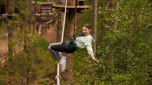 Image result for Go Ape! Dalby
