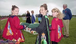 Image result for An Riocht Gaa Club