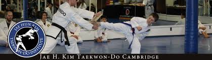 Image result for Hed Tkd (Dorking Tae Kwon-Do)