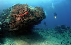 Image result for Deep Blue Diving