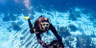 Image result for Leicester Underwater Exploration Club