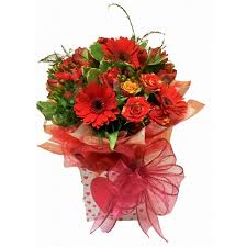 Image result for Belper Sub Aqua