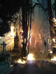 Image result for Graves Flames