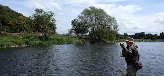 Image result for Reigate & District Angling Association