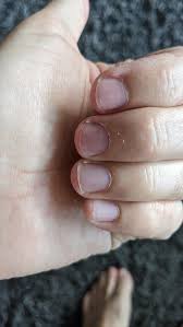 Image result for lunula nail