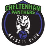 Image result for Medway Panthers Netball Club