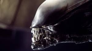 Image result for xenomorph