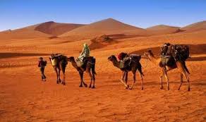 Image result for Nomads