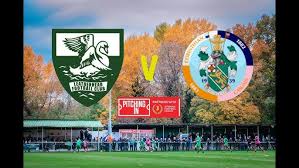 Image result for Leatherhead Football Club