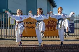 Image result for Haslemere Karate Club
