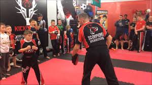 Image result for Scorpion Martial Arts Academy