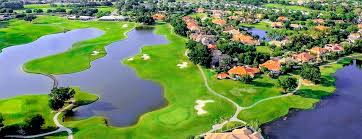 Image result for Fox Gc