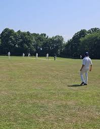 Image result for South Weald Cricket Club