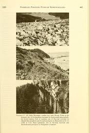 Attēlu rezultāti vaicājumam “Exobasidium cassandrae”