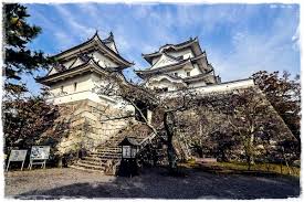 Image result for Hertfordshire Iga Ryu Ninjutsu