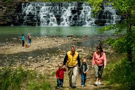 Image result for Dearne Valley Devils