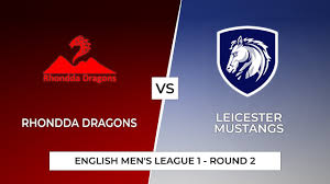 Image result for leicester dragons