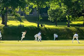 Image result for Malvern Cricket Club