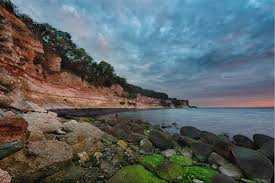 Image result for stevns klint