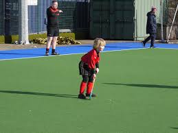Image result for Ellon Gordon Hockey Club
