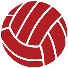 Image result for Icons Netball Club