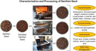 Attēlu rezultāti vaicājumam “Onobrychis arenaria fruit”