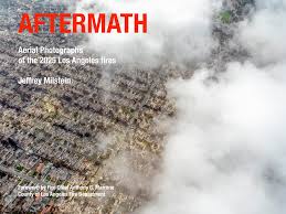 Image result for Jeffrey Milstein