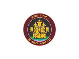 Image result for Glastonbury Cricket Club