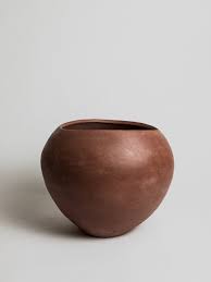 Attēlu rezultāti vaicājumam “Pottiales”