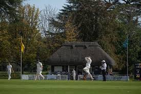Image result for Steyning Cricket Club