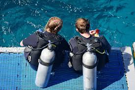 Image result for Richmond Sub-Aqua Club