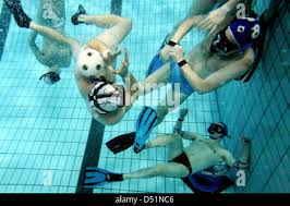 Image result for Rugby Swimming Club