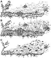 Attēlu rezultāti vaicājumam “Euphydrias aurinia upperside”