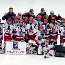 Image result for York University Hockey Club