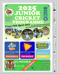 Image result for Tendring Cricket Club