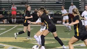 Image result for Hamilton Panthers Association Football Club