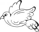 Pigeon coloring page