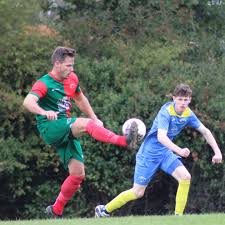 Image result for Chiddingfold Youth Fc