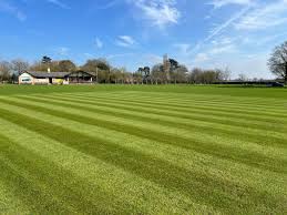 Image result for Halstead Cricket Club