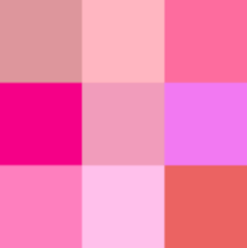 Image result for FOTO ROSA