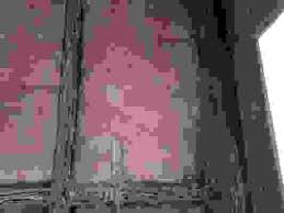 Image result for 4641027870