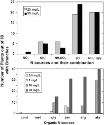 Attēlu rezultāti vaicājumam “Cinclidotus danubicus cells”