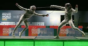 Image result for Uclu Fencing Club
