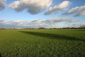 Image result for Nunwick Cc