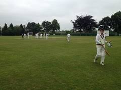 Image result for Elworth Cricket Club