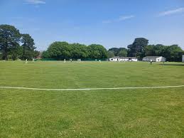 Image result for Halstead Colts Cricket Club