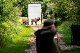 Image result for Hart Of Sherwood Archery Club