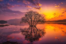 Kết quả hình ảnh cho hinh anh