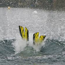 Image result for Guildford British Sub Aqua Club